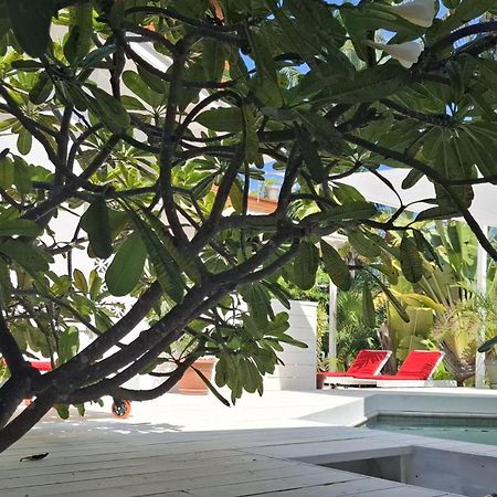 Amanda'S Place Green Studio - Pool And Tropical Garden Caye Caulker Ngoại thất bức ảnh