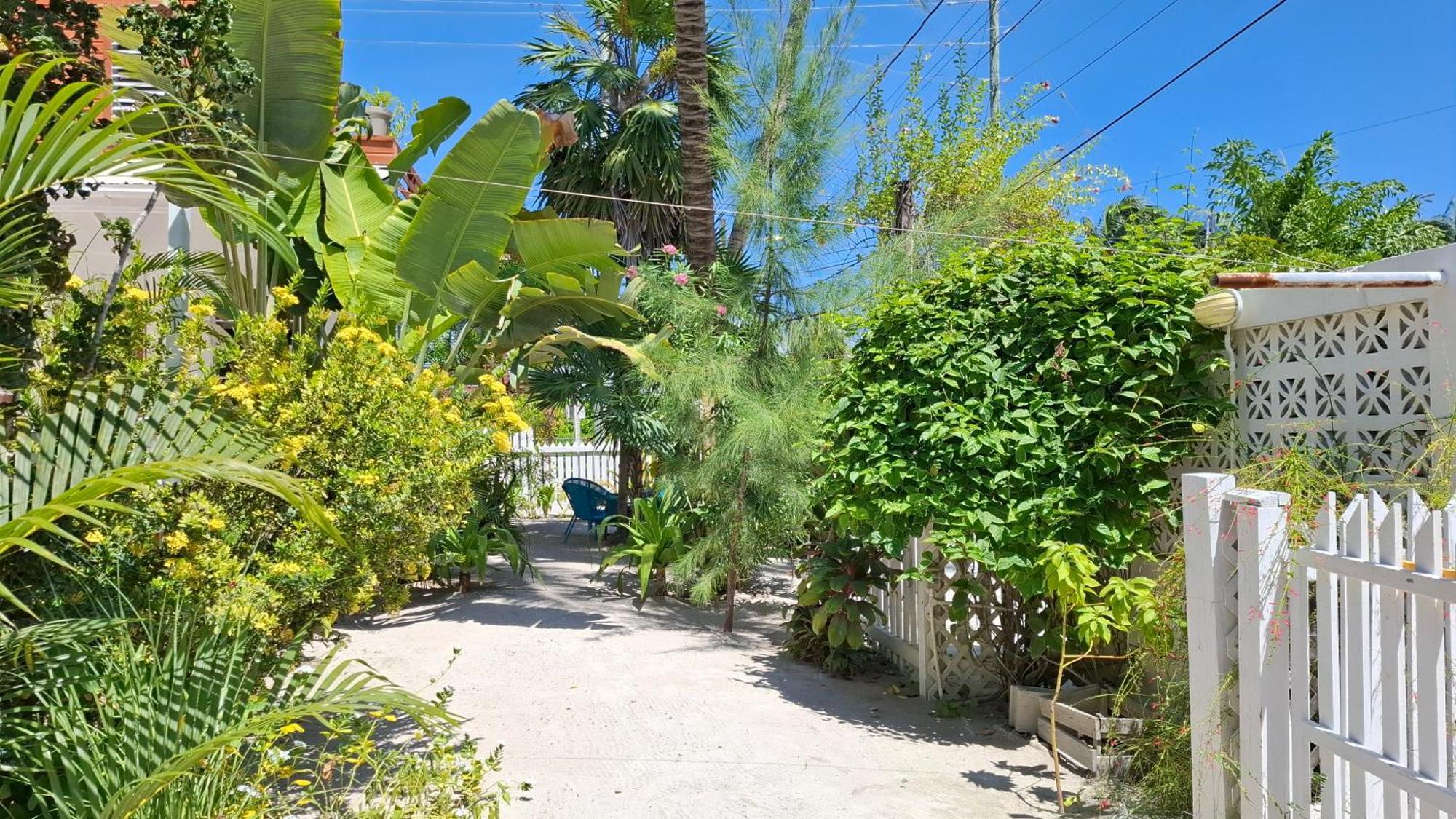 Amanda'S Place Green Studio - Pool And Tropical Garden Caye Caulker Ngoại thất bức ảnh
