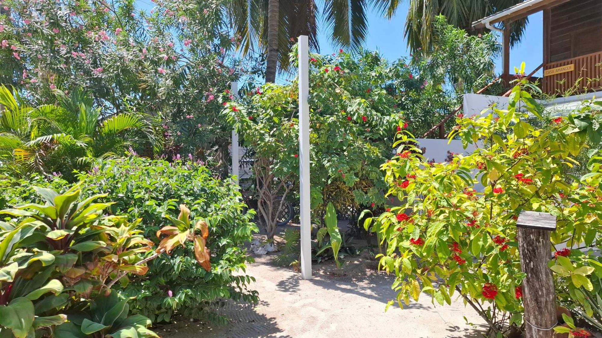 Amanda'S Place Green Studio - Pool And Tropical Garden Caye Caulker Ngoại thất bức ảnh