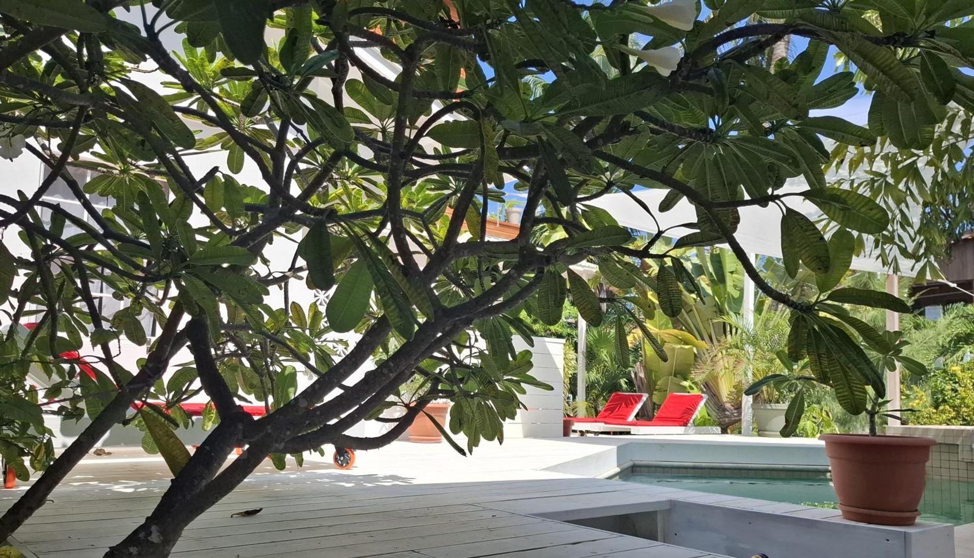 Amanda'S Place Green Studio - Pool And Tropical Garden Caye Caulker Ngoại thất bức ảnh