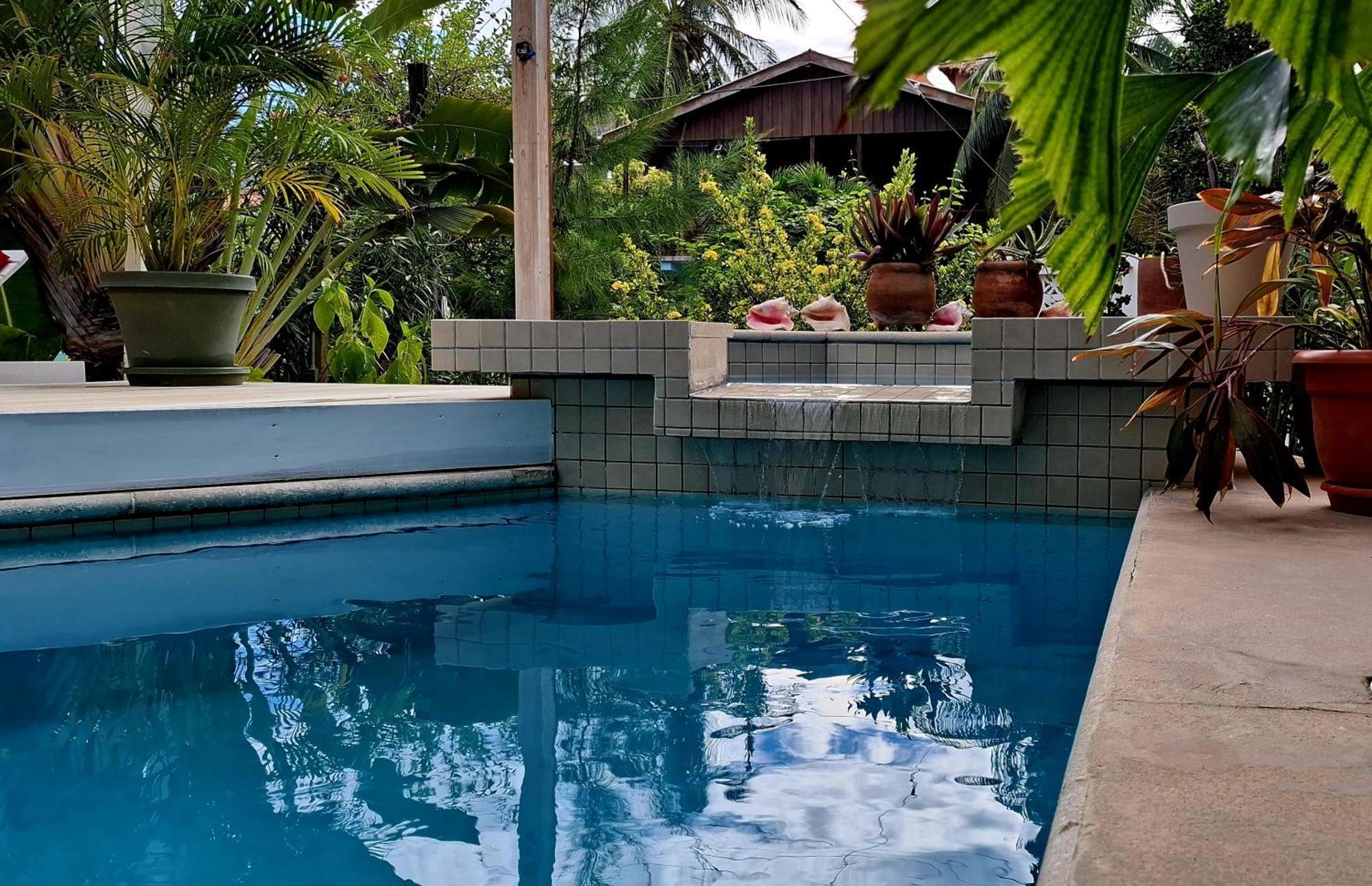 Amanda'S Place Green Studio - Pool And Tropical Garden Caye Caulker Ngoại thất bức ảnh